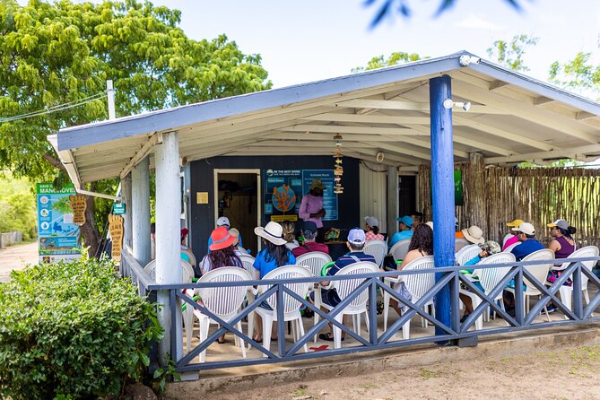 SoCoHo Eco Half Day - Mangrove Kayak & Reef Snorkeling - Snacks, rum punch, and optional lunch