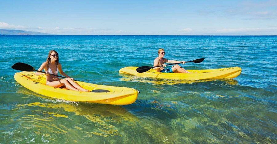 South Maui: Premium Turtle Town Kayak and Snorkel Tour - Why Turtle Town works so well for a morning tour