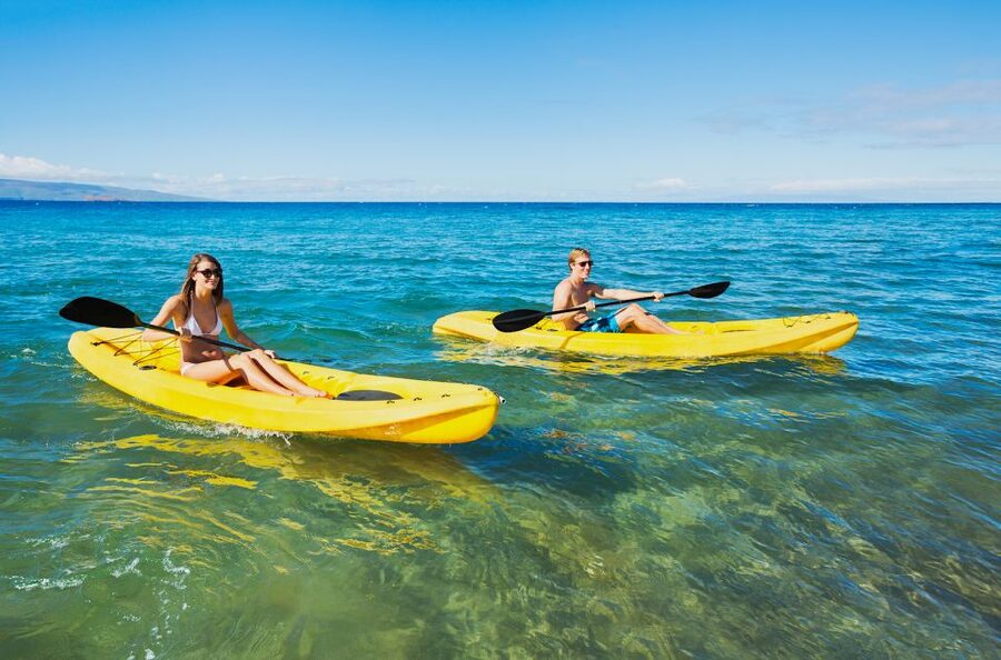 South Maui: Premium Turtle Town Kayak and Snorkel Tour - What $151 gets you