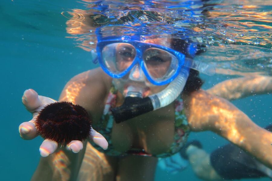 South Maui: Premium Turtle Town Kayak and Snorkel Tour - Should you book it?