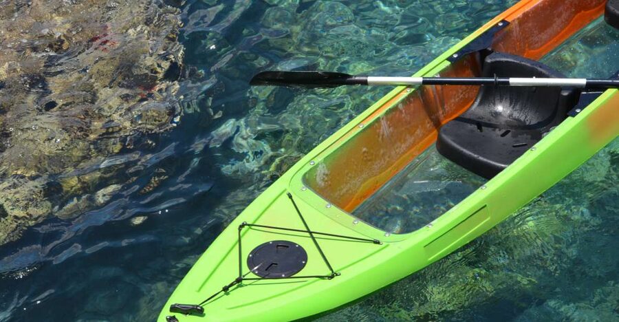 South Maui: Self Guided Clear Bottom Kayak Tour - Finding turtles, coral, and reef fish