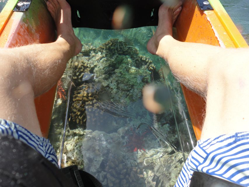 South Maui: Self Guided Clear Bottom Kayak Tour - Safety, weather, and comfort
