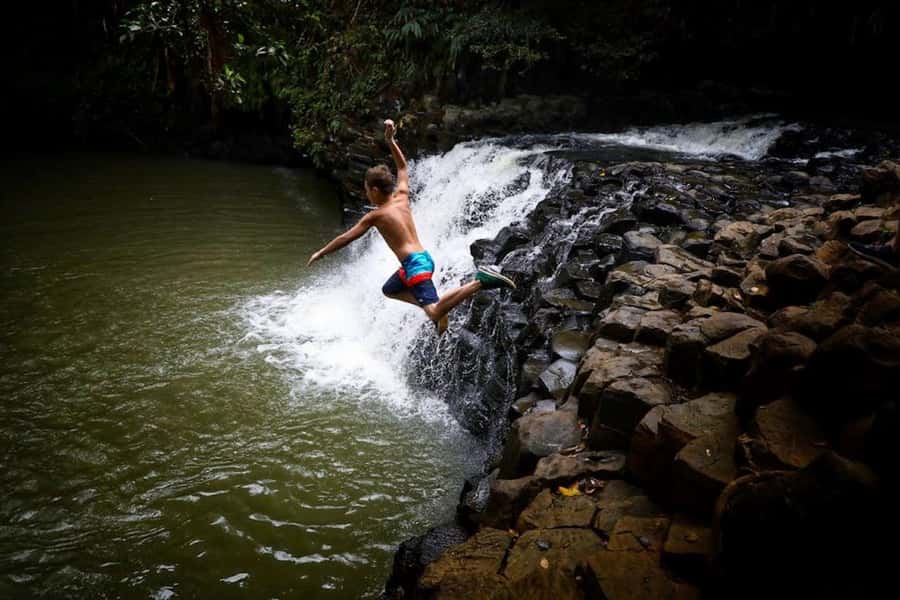 South Maui: Waterfall Tour w/ Kayak, Snorkel, and Hike - A rainforest hike with Tim or Jacob