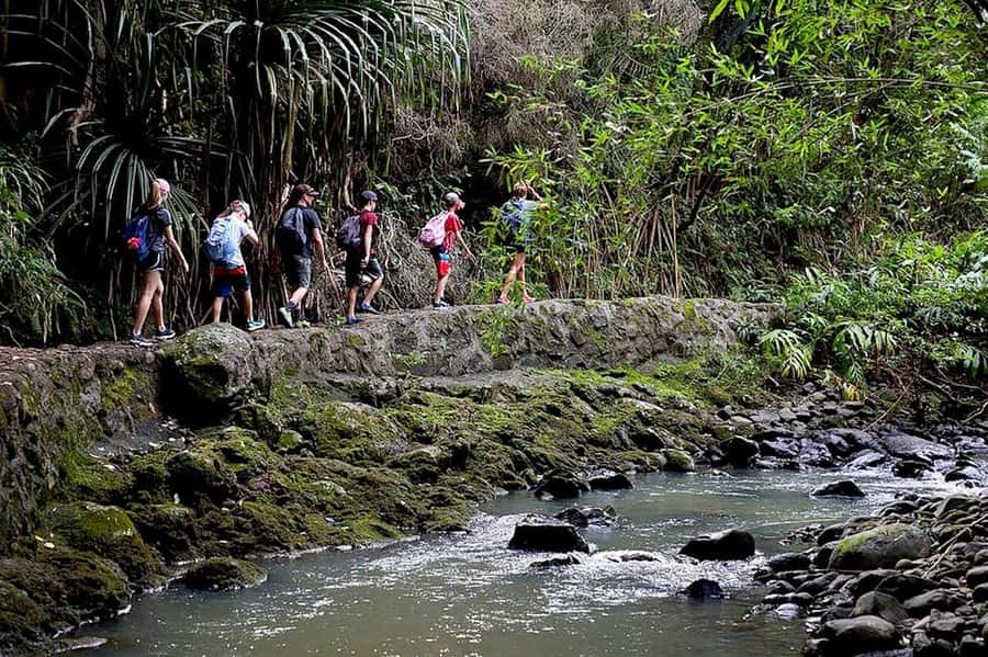 South Maui: Waterfall Tour w/ Kayak, Snorkel, and Hike - What to bring and how to dress