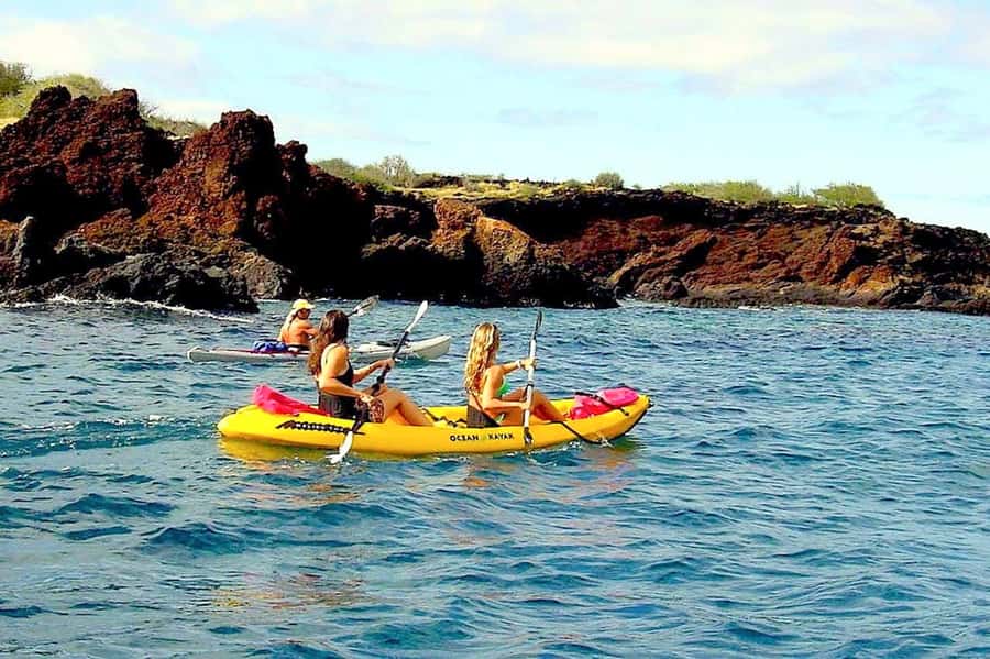 South Maui: Waterfall Tour w/ Kayak, Snorkel, and Hike - Snorkeling with a search for Hawaiian Green Sea Turtles