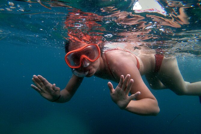 Split Sea Kayaking & Snorkeling Tour - The swimming and snorkeling stop