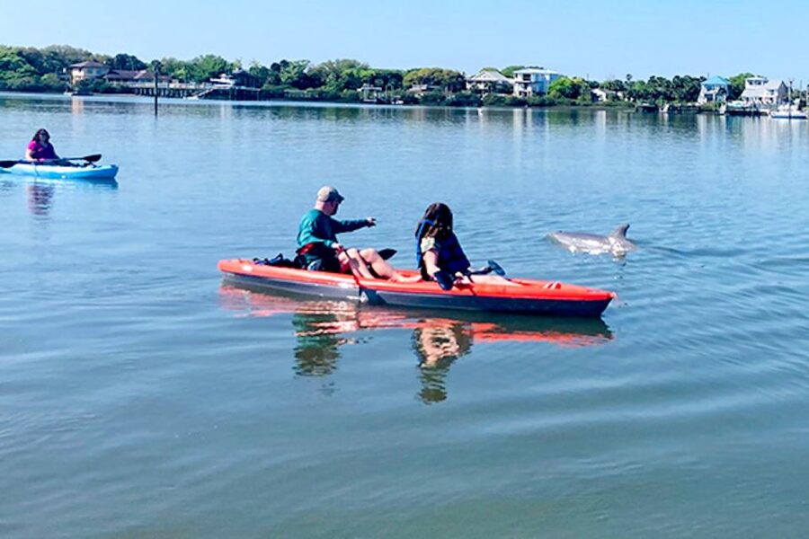 St. Augustine: Dolphin and Manatee Paddle or Kayak Tour - Two hours from Lighthouse Park to the wildlife waterways