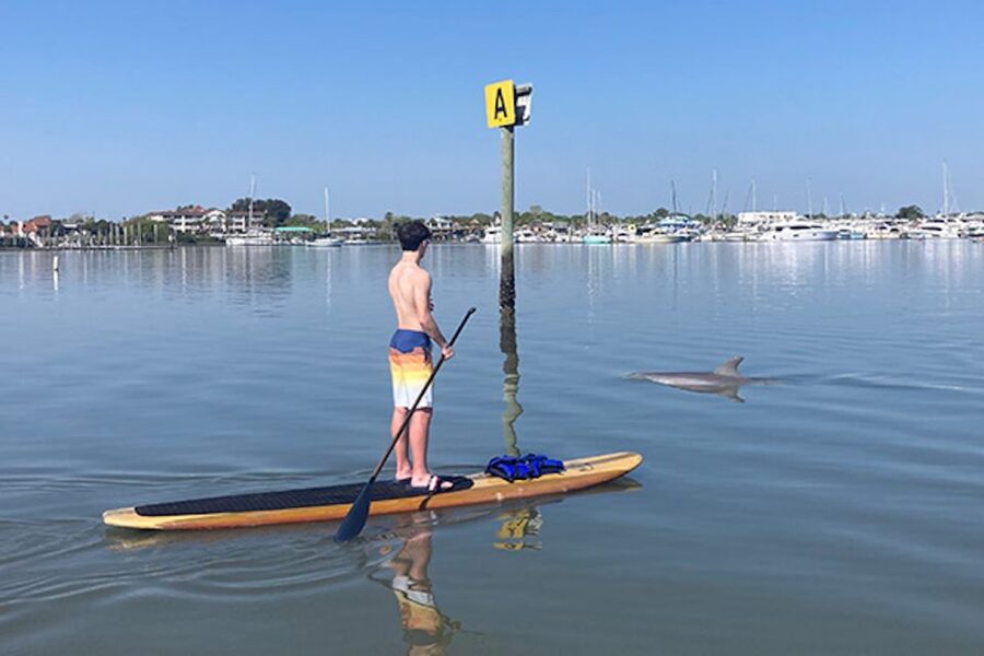 St. Augustine: Dolphin and Manatee Paddle or Kayak Tour - Is $65 good value for two hours?