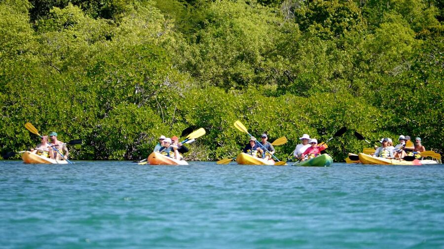 St. John's, Antigua Kayak, Snorkeling, & Beach Bird Island - Key points to know before booking