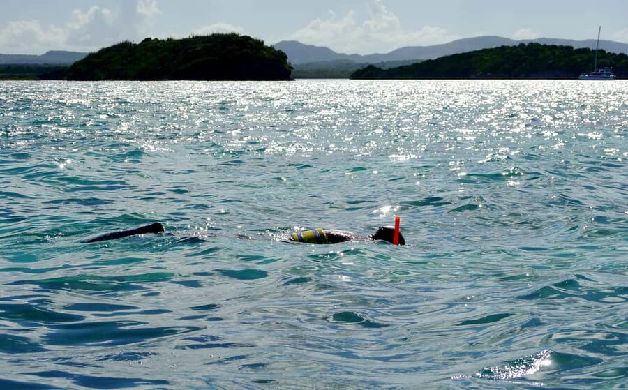 St. John's, Antigua Kayak, Snorkeling, & Beach Bird Island - Paddling through North Sound’s red mangroves