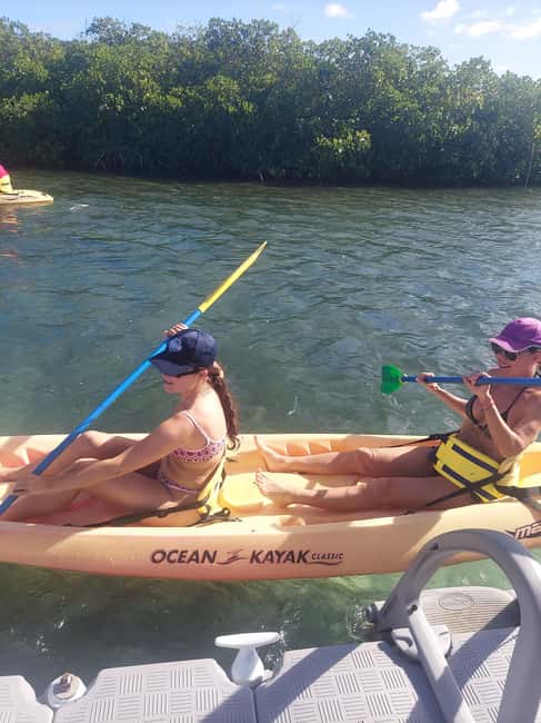 St. John's, Antigua Kayak, Snorkeling, & Beach Bird Island - Snorkeling over coral and blue tang