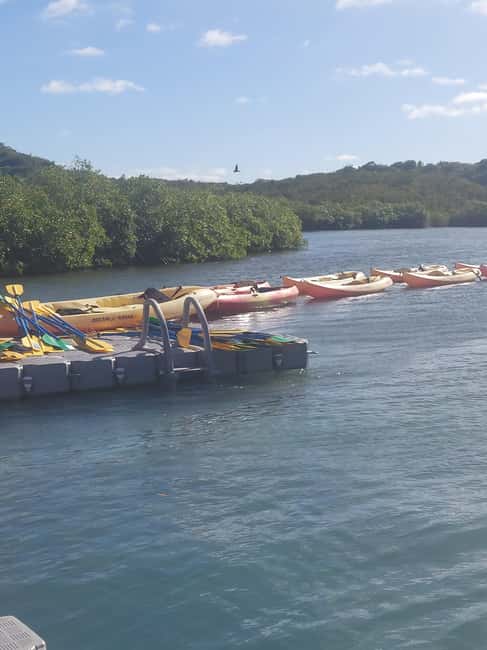 St. John's, Antigua Kayak, Snorkeling, & Beach Bird Island - Crystal and the human side of the tour
