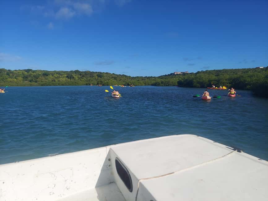 St. John's, Antigua Kayak, Snorkeling, & Beach Bird Island - Is $147 a fair price?