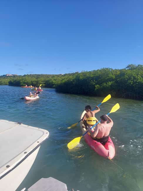 St. John's, Antigua Kayak, Snorkeling, & Beach Bird Island - Starting in St. John’s with a scenic ride