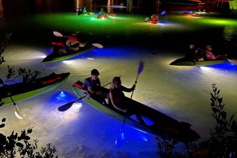 St. Pete Beach: Glass Bottom Kayak Fish Feeding Night Tour - Why the glowing kayak is the main attraction