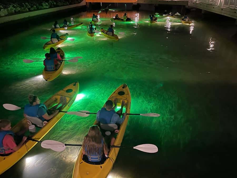 St. Pete Beach: Glass Bottom Kayak Fish Feeding Night Tour - Paddling toward the mangrove island