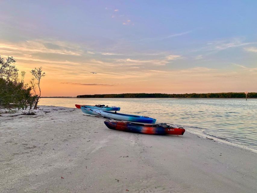 St. Petersburg, FL: Weedon Island Kayak Tour - Key points to know before you book