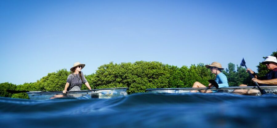 St. Petersburg, FL: Weedon Island Kayak Tour - From the Culture and History Center to the launch site