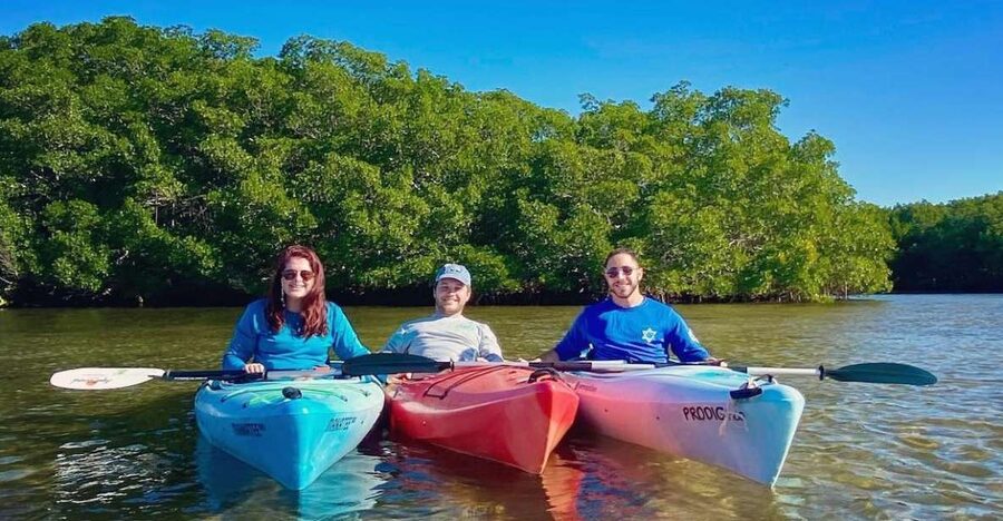 St. Petersburg, FL: Weedon Island Kayak Tour - Crabs, mullets, and birds along the route