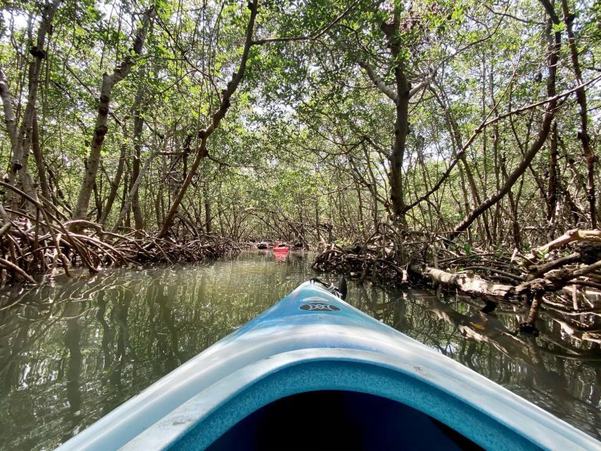 St. Petersburg, FL: Weedon Island Kayak Tour - Who will enjoy this paddle most?