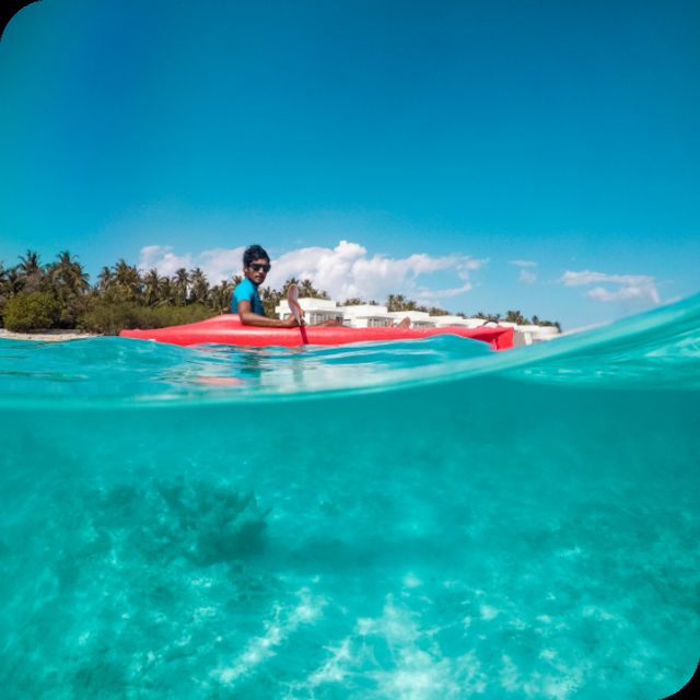St. Petersburg, FL: Weedon Island Kayak Tour - The first stretch: shallow water and seagrass meadows