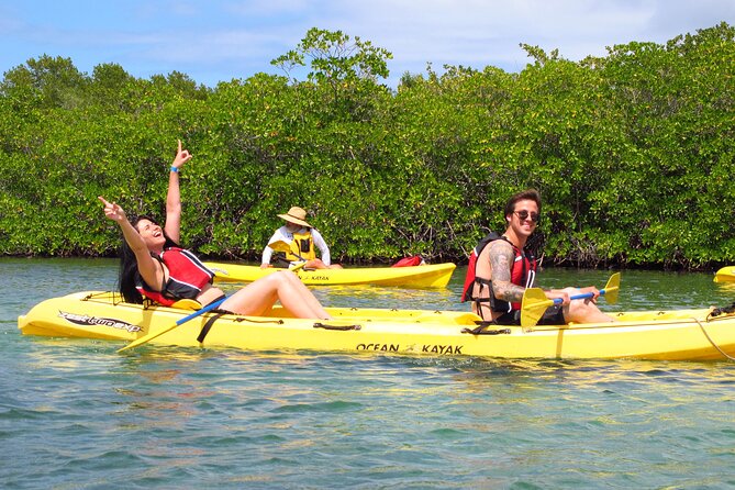 St Thomas Mangrove Lagoon Kayak and Snorkel Tour in the US Virgin Islands - Starting at the Mangrove Lagoon Wildlife Sanctuary