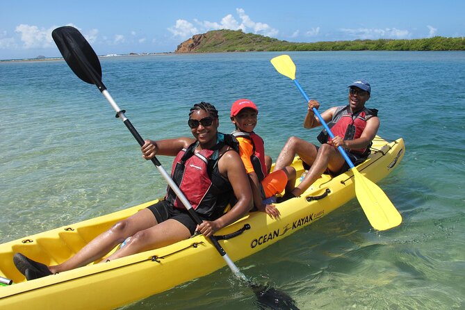 St Thomas Mangrove Lagoon Kayak and Snorkel Tour in the US Virgin Islands - Snorkeling among roots and shallow marine life