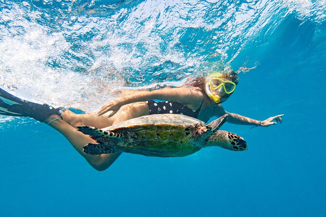 St Thomas Mangrove Lagoon Kayak and Snorkel Tour in the US Virgin Islands - How much activity is packed into 2.5 hours