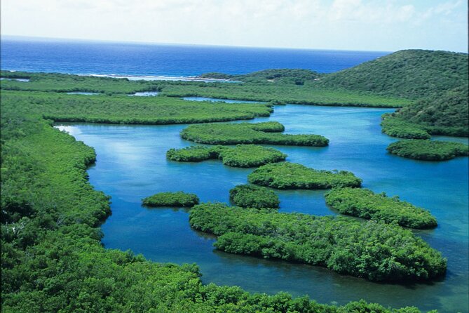 St Thomas Mangrove Lagoon Kayak and Snorkel Tour in the US Virgin Islands - What the $89 price really gets you