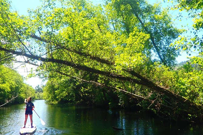 Stand Up Paddle Tour - Photos and the value of the $42.05 price