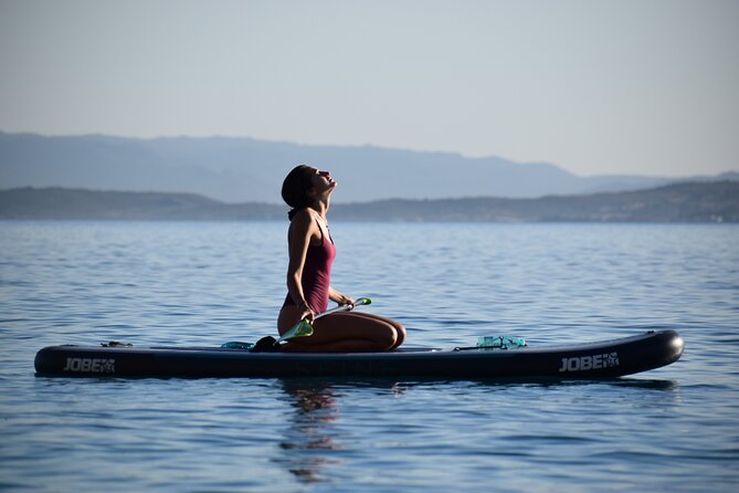 Stand Up Paddle With Dolphins, aperitif and pictures - The first lesson makes this workable for beginners