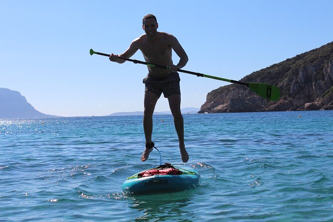 Stand Up Paddle With Dolphins, aperitif and pictures - What the wildlife experience is really like