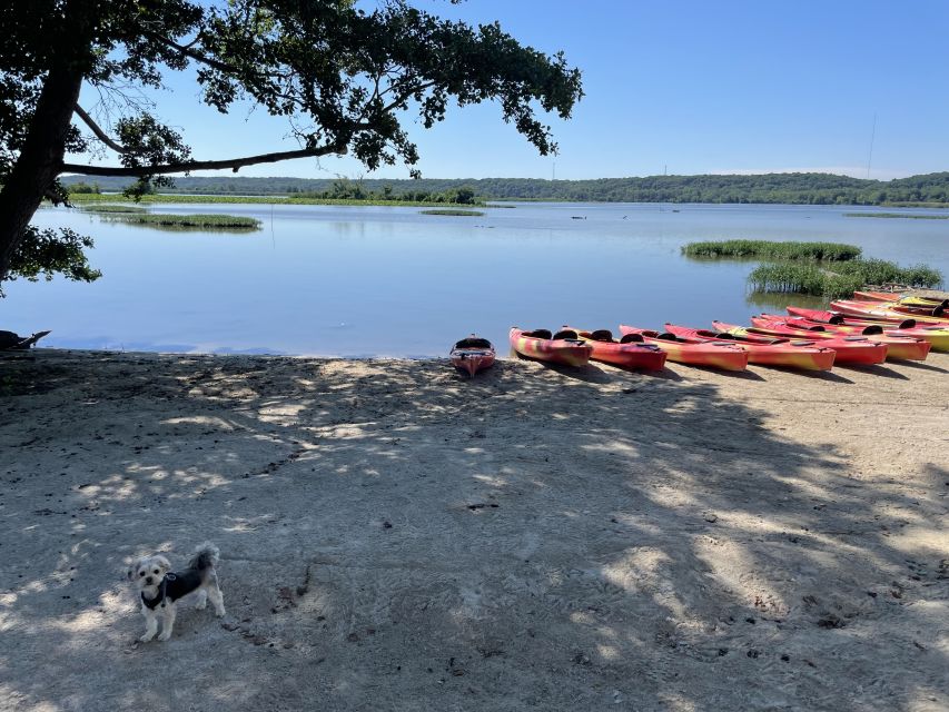 Starved Rock State Park: Guided Kayaking Tour - A good choice for families, dogs, and groups