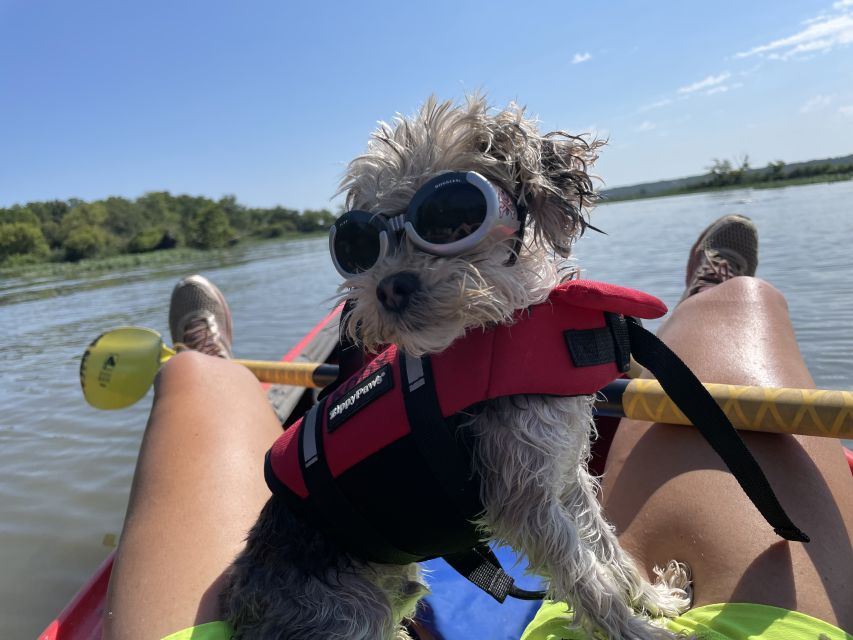 Starved Rock State Park: Guided Kayaking Tour - How the $74 price works for you