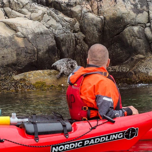 Stavanger: Lysefjord Kayak Safari (Waterfalls & Pulpit Rock) - Is $291 a fair price?