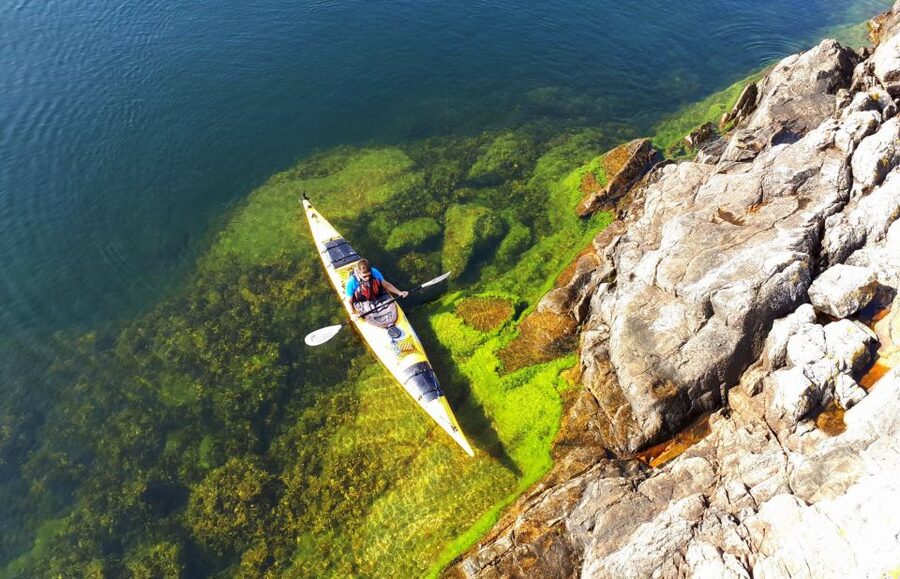 Stockholm: 1, 2, or 3-Day Kayaking Tour in the Archipelago - Should you book the Stockholm kayaking tour?