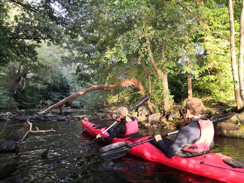 Stockholm Evening Kayak with BBQ. - From kayak to beach dinner