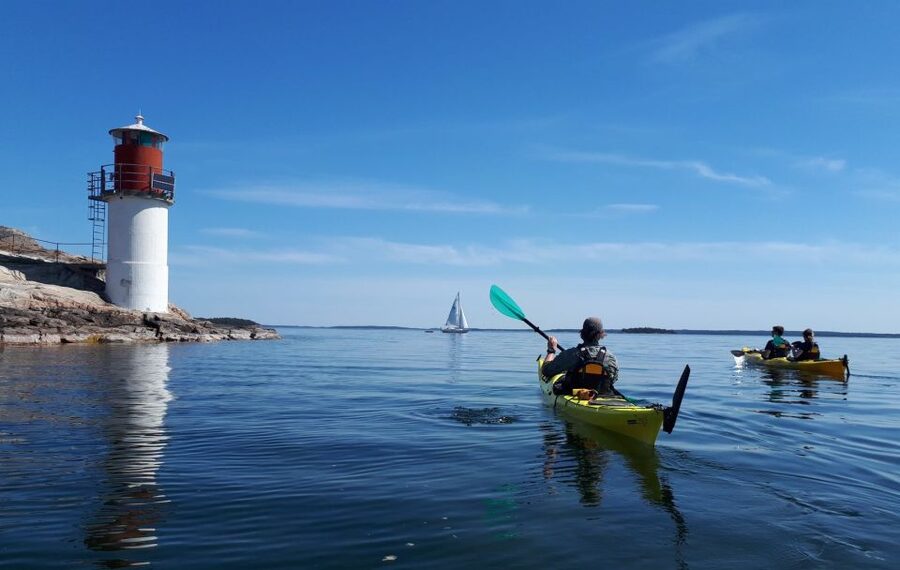 Stockholm: Full-Day Archipelago Kayaking Adventure - Swimming, seals, and white-tailed eagles