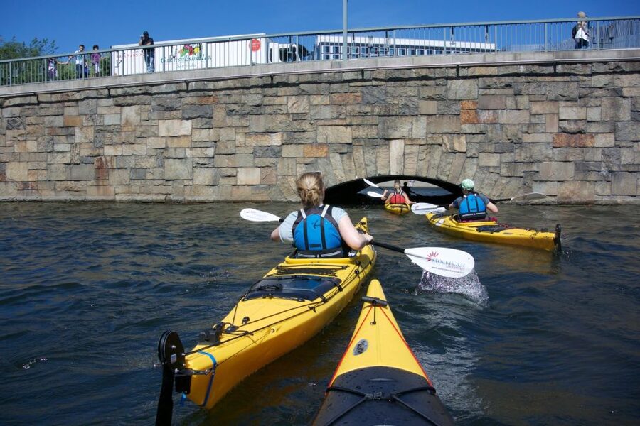 Stockholm: Guided Kayak City Tour & Optional Midsummer Meal - What the guides add to the outing