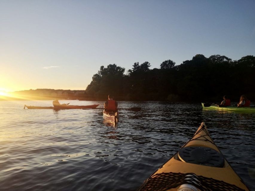 Stockholm: Sunset Kayak Tour in the City + Swedish Fika - What the Guide Adds