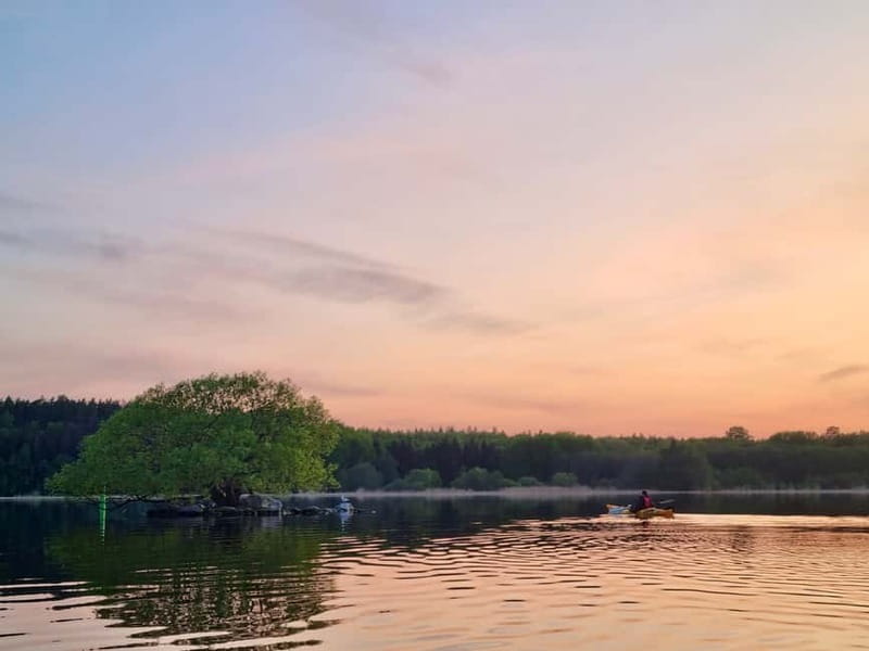 Stockholm: Sunset Kayak Tour on Lake Mälaren with Tea & Cake - Booking details worth keeping in mind