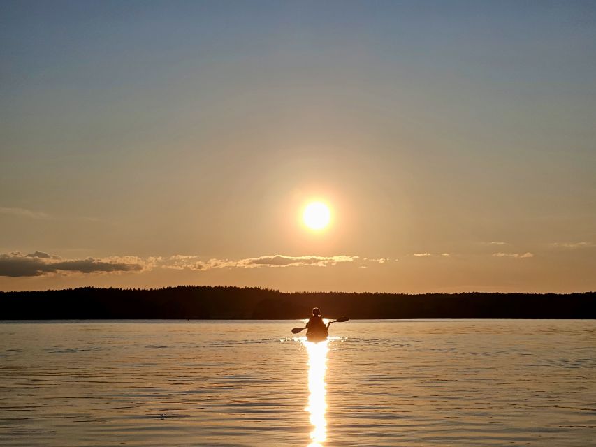 Stockholm: Sunset Kayak Tour on Lake Mälaren with Tea & Cake - A beach fika with homemade cake