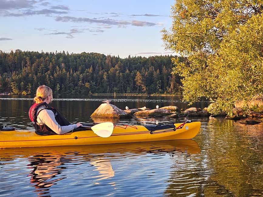 Stockholm: Sunset Kayak Tour on Lake Mälaren with Tea & Cake - How the guide shapes the experience