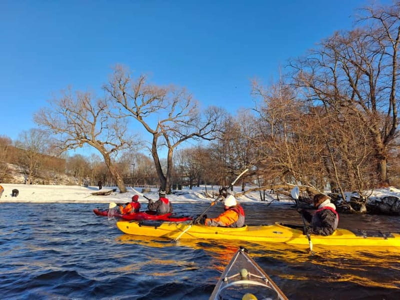 Stockholm: Winter Kayaking Tour through the City Centre - The quick facts that matter most