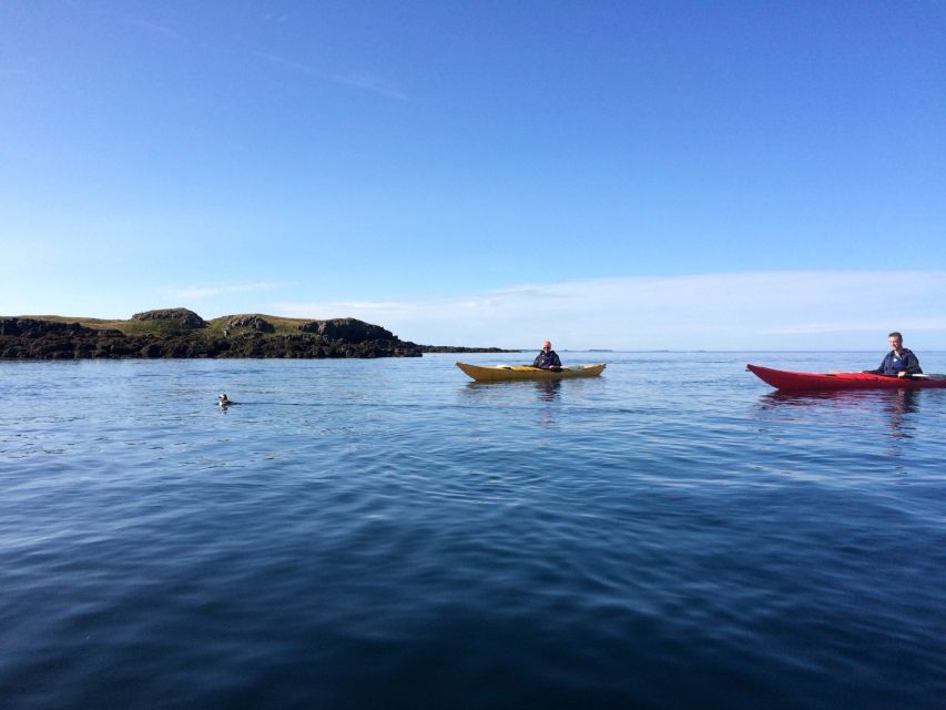 Stykkishólmur: 2-Hour Sea Kayak Tour - Key points about this Stykkishólmur kayak trip