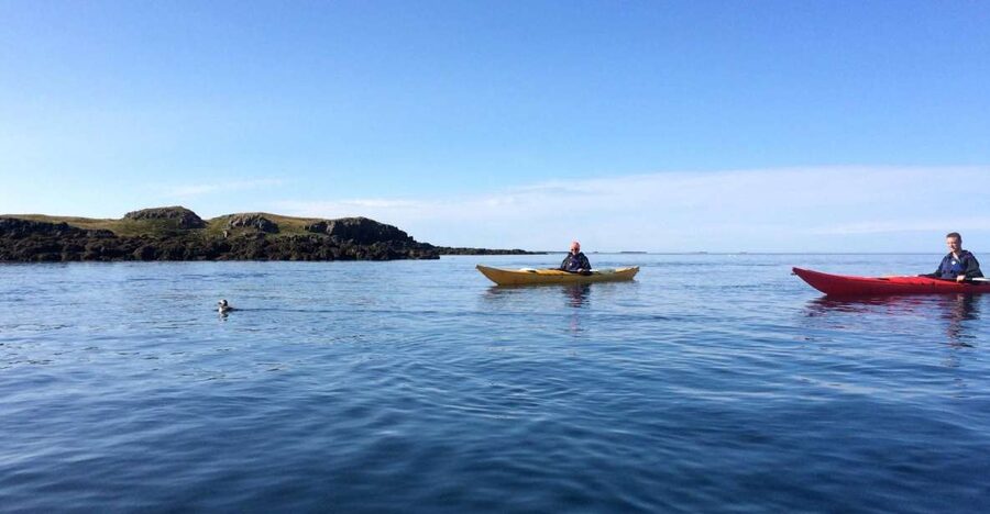 Stykkishólmur: 2-Hour Sea Kayak Tour - What the dry suit changes