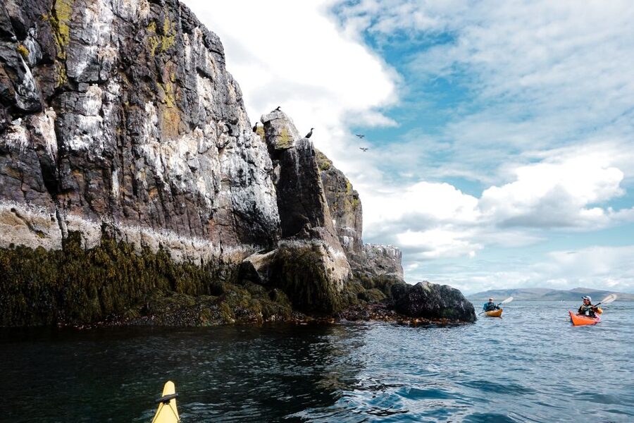 Stykkishólmur: 2-Hour Sea Kayak Tour - Seabirds and the chance of a white-tailed eagle