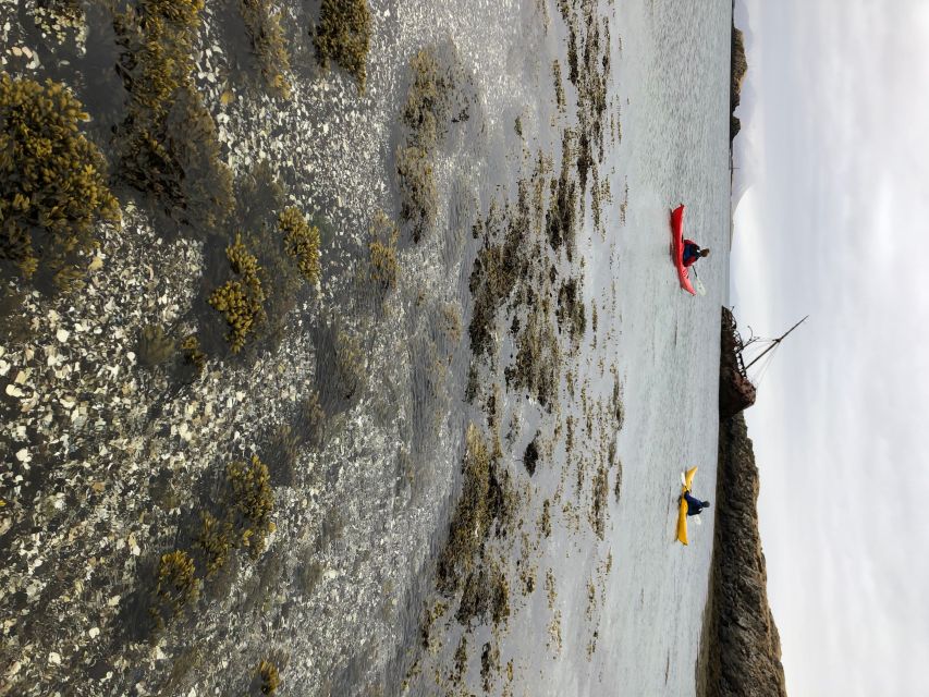 Stykkishólmur: 2-Hour Sea Kayak Tour - How the two-hour format affects value