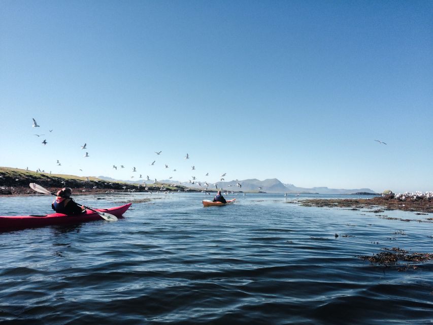 Stykkishólmur: 2-Hour Sea Kayak Tour - Starting in central Stykkishólmur