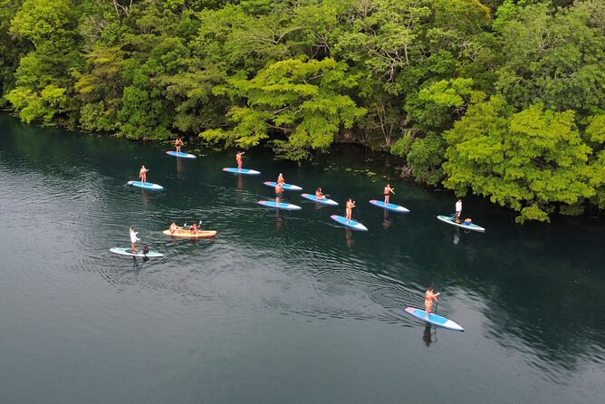 Sunrise by Paddle or Kayak with Floating Picnic - Booking, weather, and useful preparation